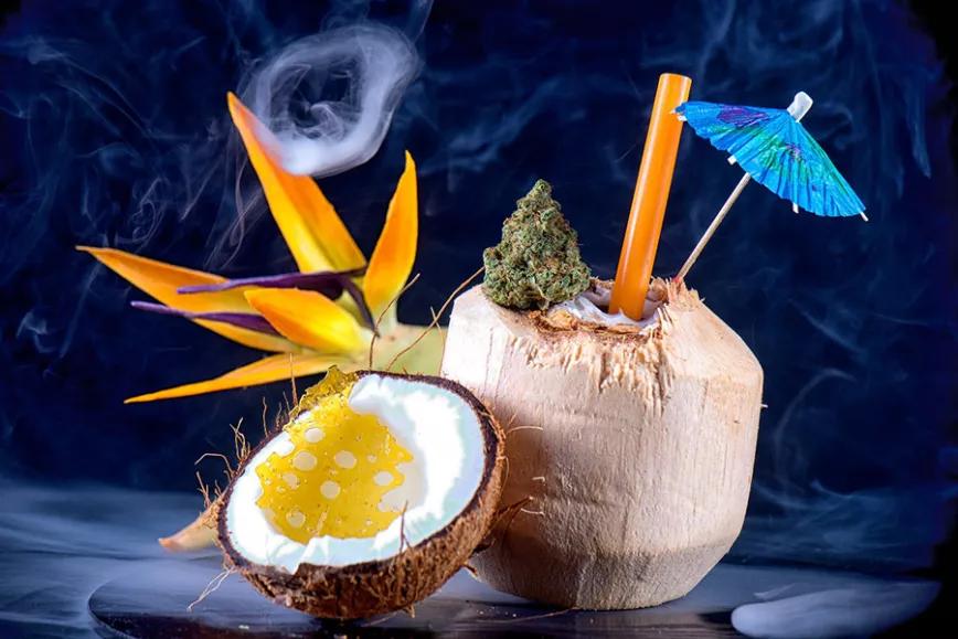 Imagen sin descripción