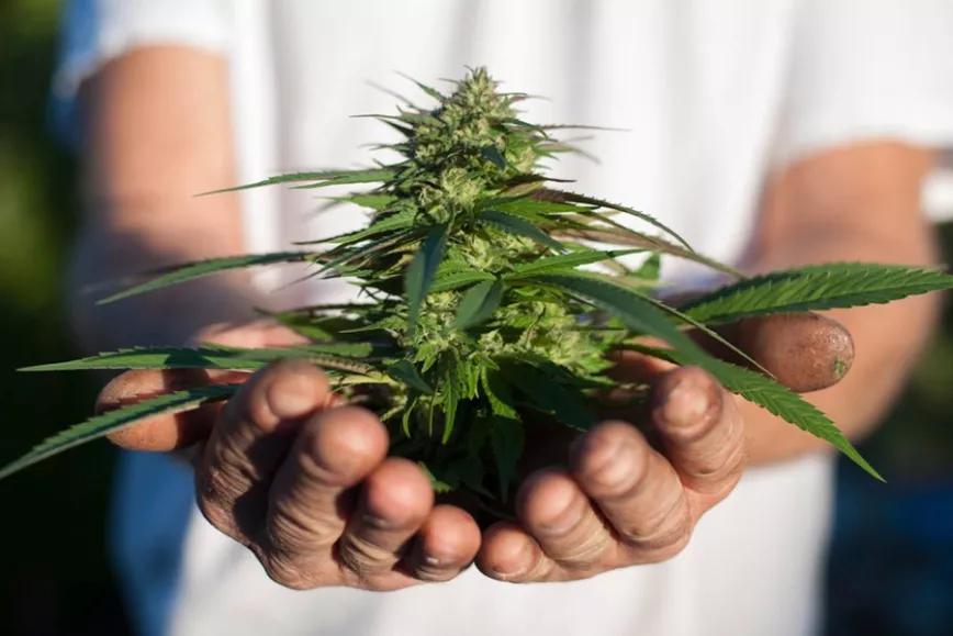 Imagen sin descripción