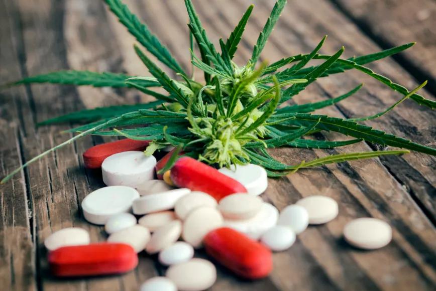 Imagen sin descripción