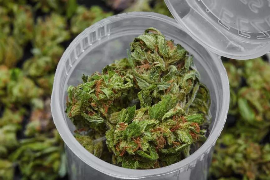 Imagen sin descripción