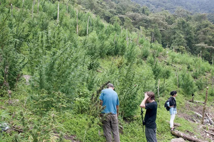 Imagen sin descripción