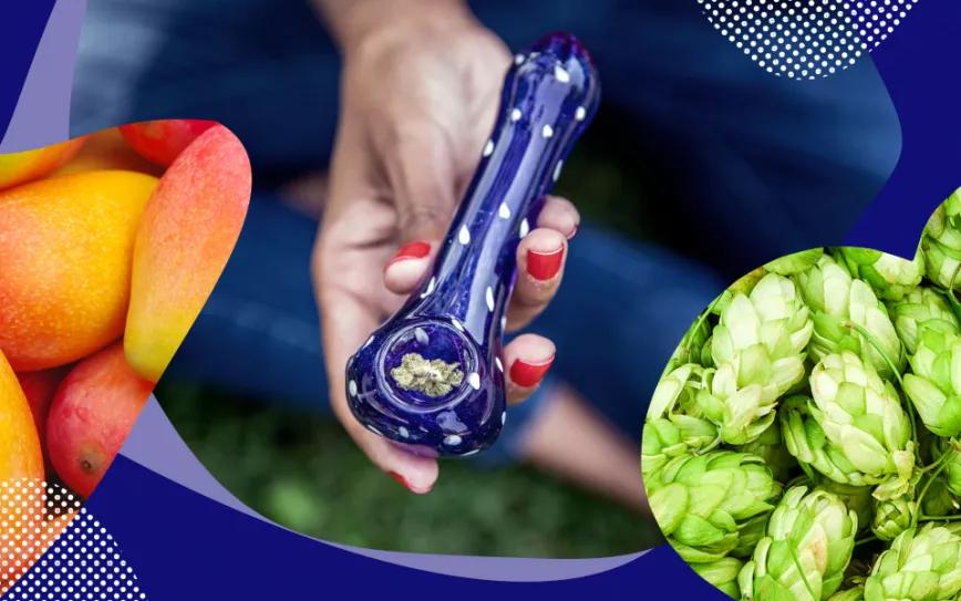 Imagen sin descripción