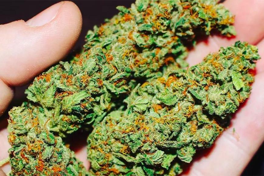 Imagen sin descripción