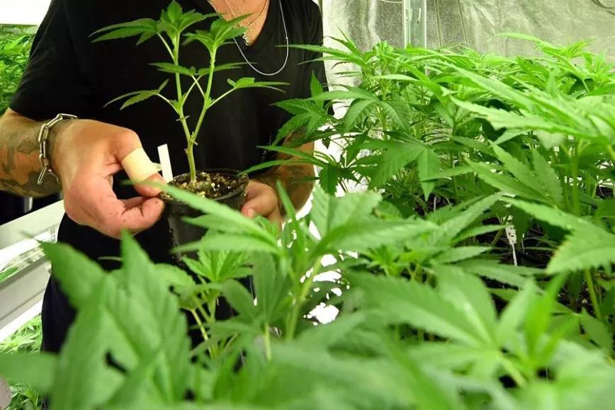 Imagen sin descripción