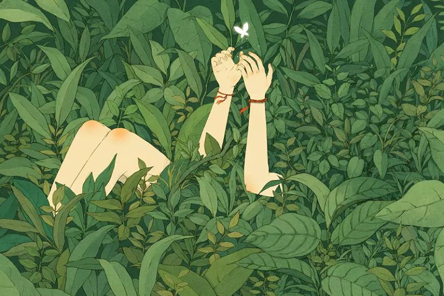 Imagen sin descripción