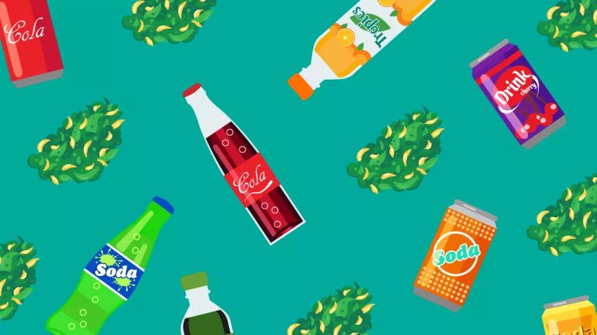 Imagen sin descripción