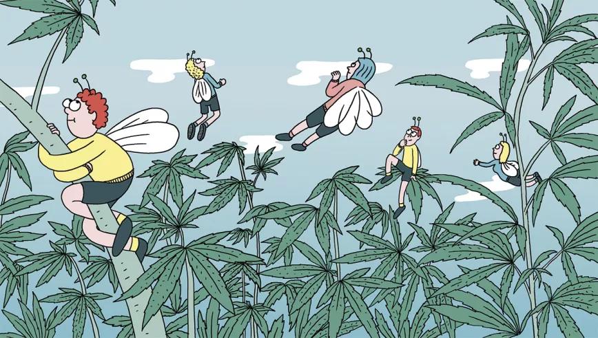 Imagen sin descripción