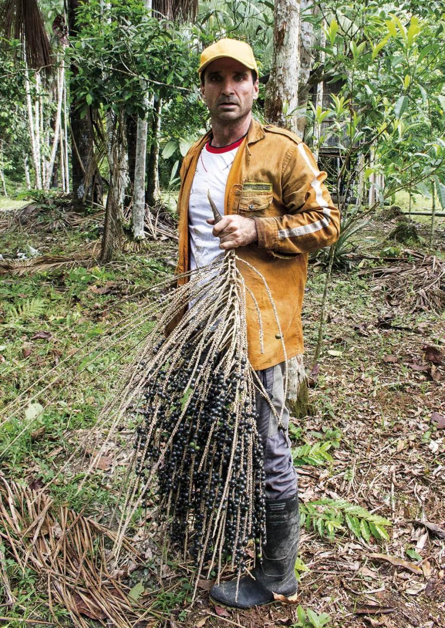Imagen sin descripción