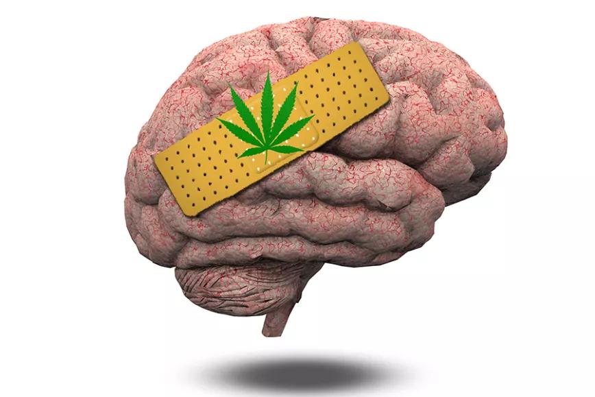 Imagen sin descripción