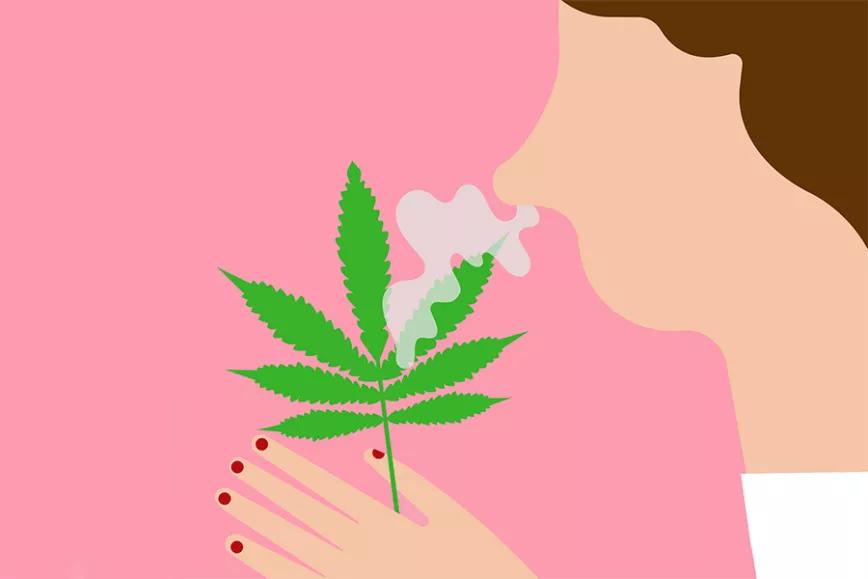 Imagen sin descripción