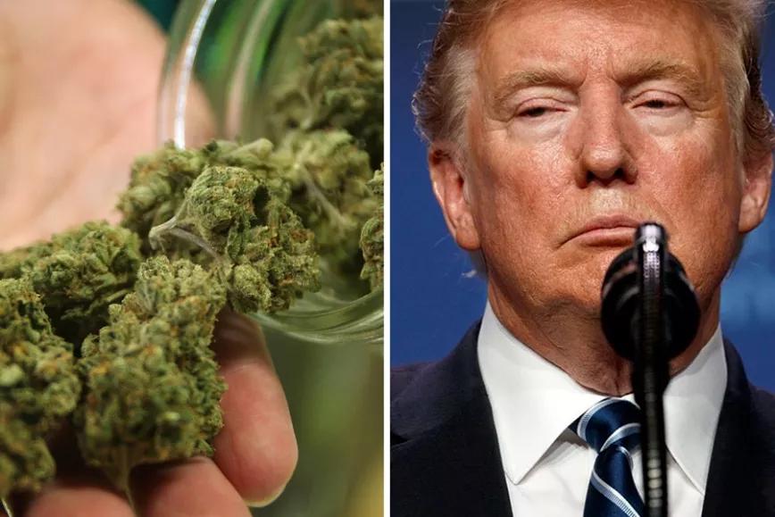 Imagen sin descripción