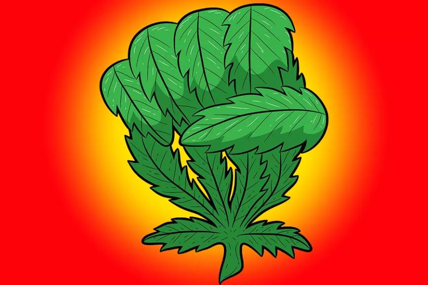 Imagen sin descripción