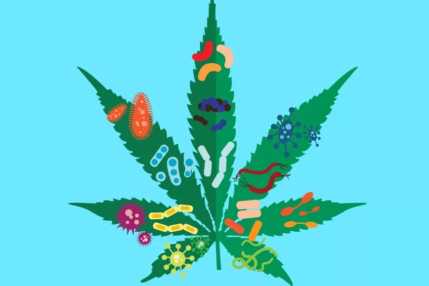 Imagen sin descripción