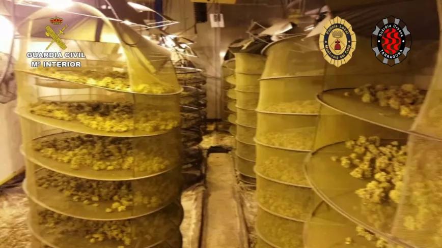 Imagen sin descripción