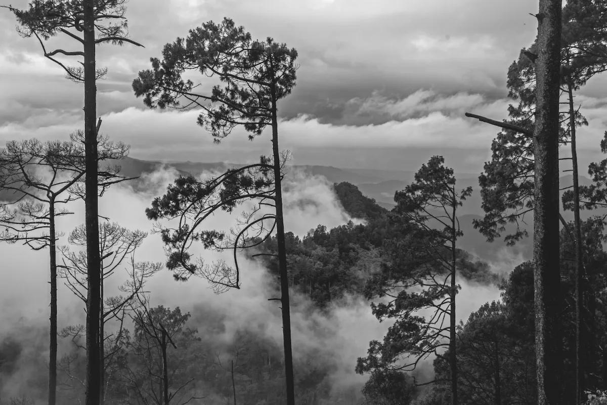 Sierra Madre del Sur, Guerrero