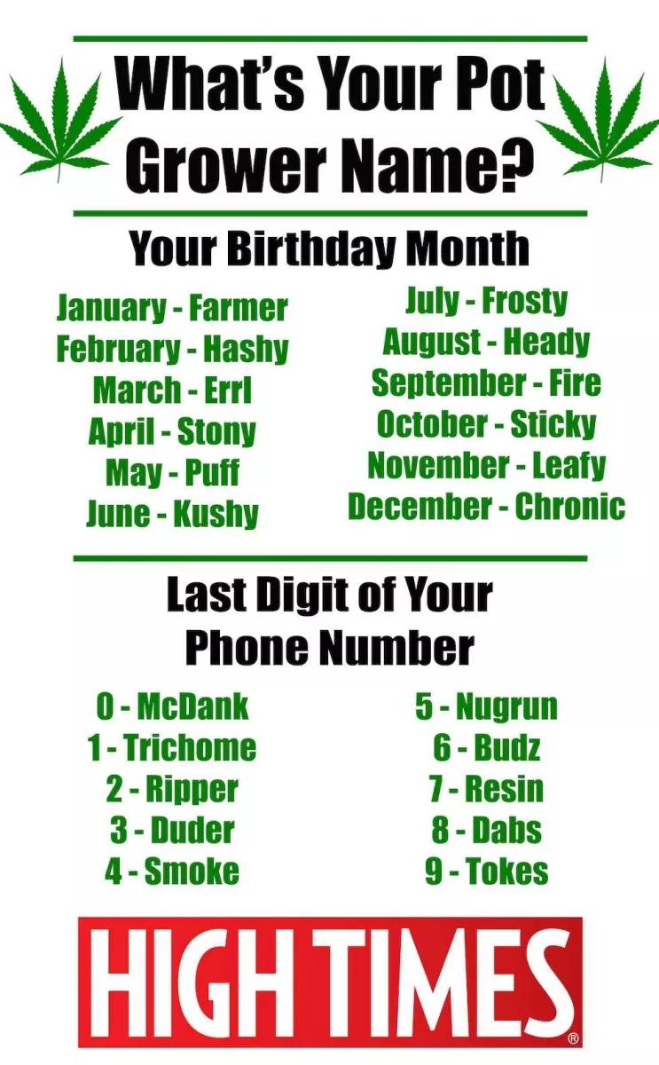 Generador de nombres