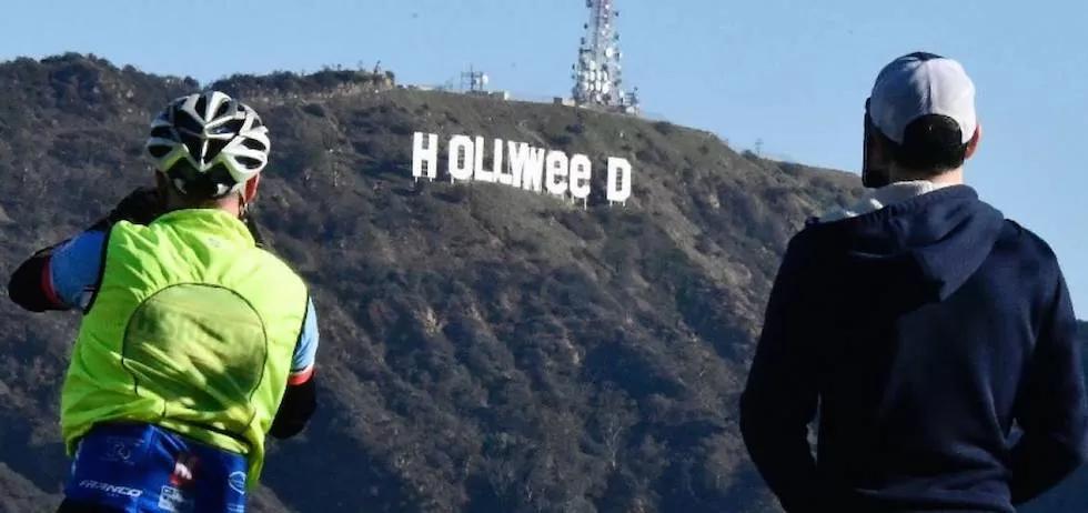 Hollyweed