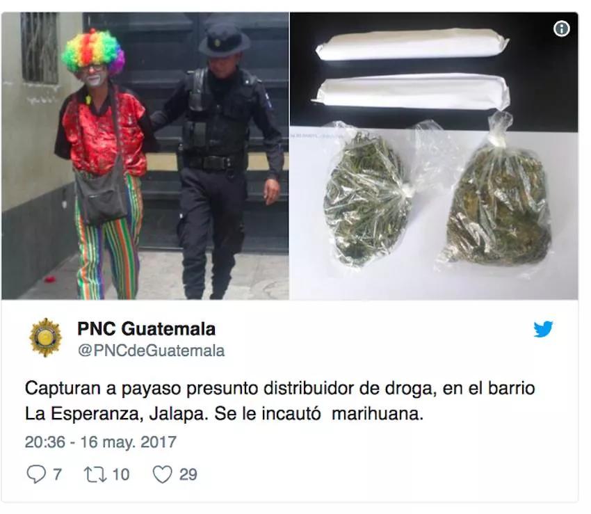 Narcopayaso