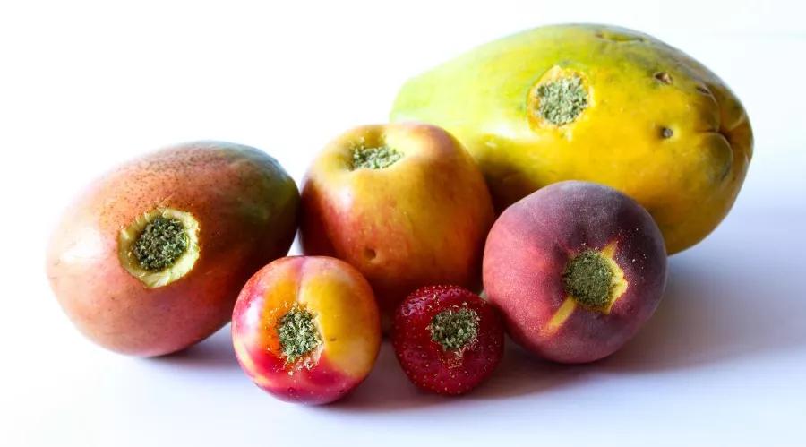 Verduras y frutas para hacerse un pipa