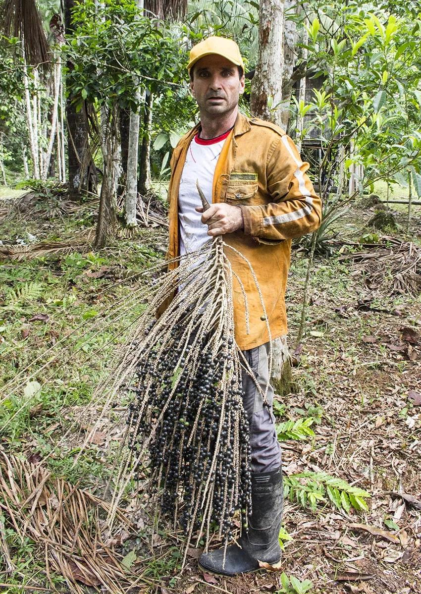 Ayahuasca entre dos mundos retrata, a través de decenas de fotografías y breves piezas literarias, el chamanismo ayahuasquero y su expansión hacia Occidente.
