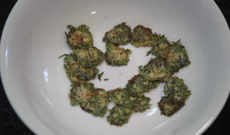 Rosin Tech: Elaboración paso a paso