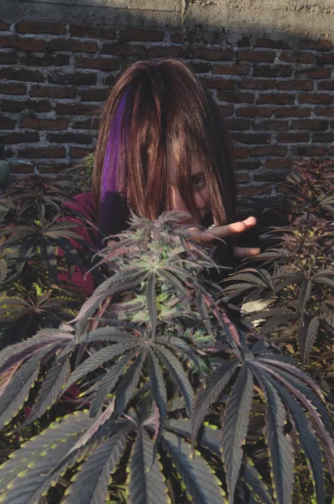 Un autor camuflado entre sus plantas