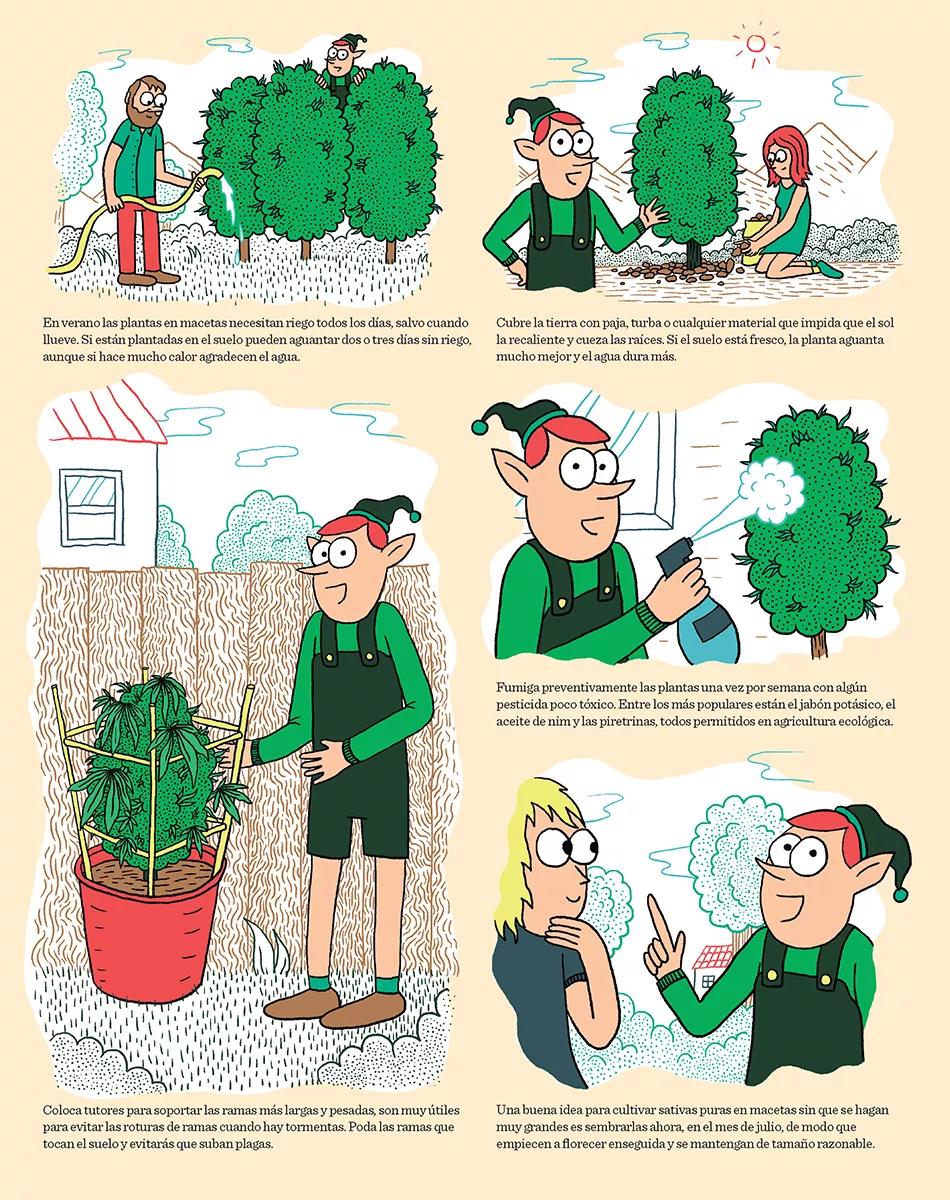 Cómic Floración y sexado