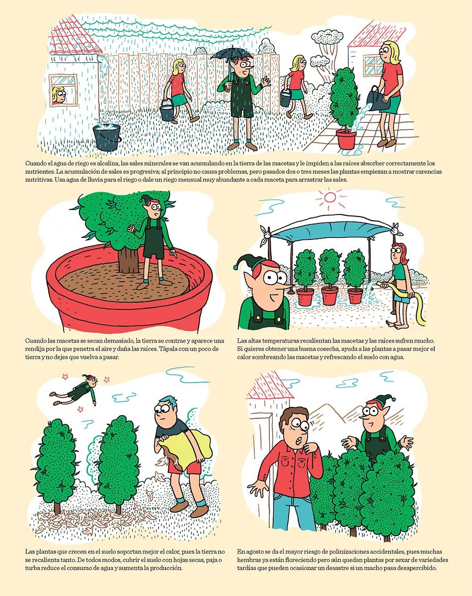 Cómic Calor y floración