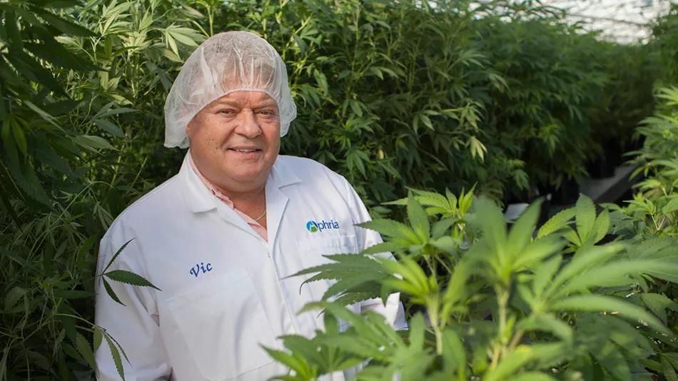 John Cervini, Aphria Inc. 
