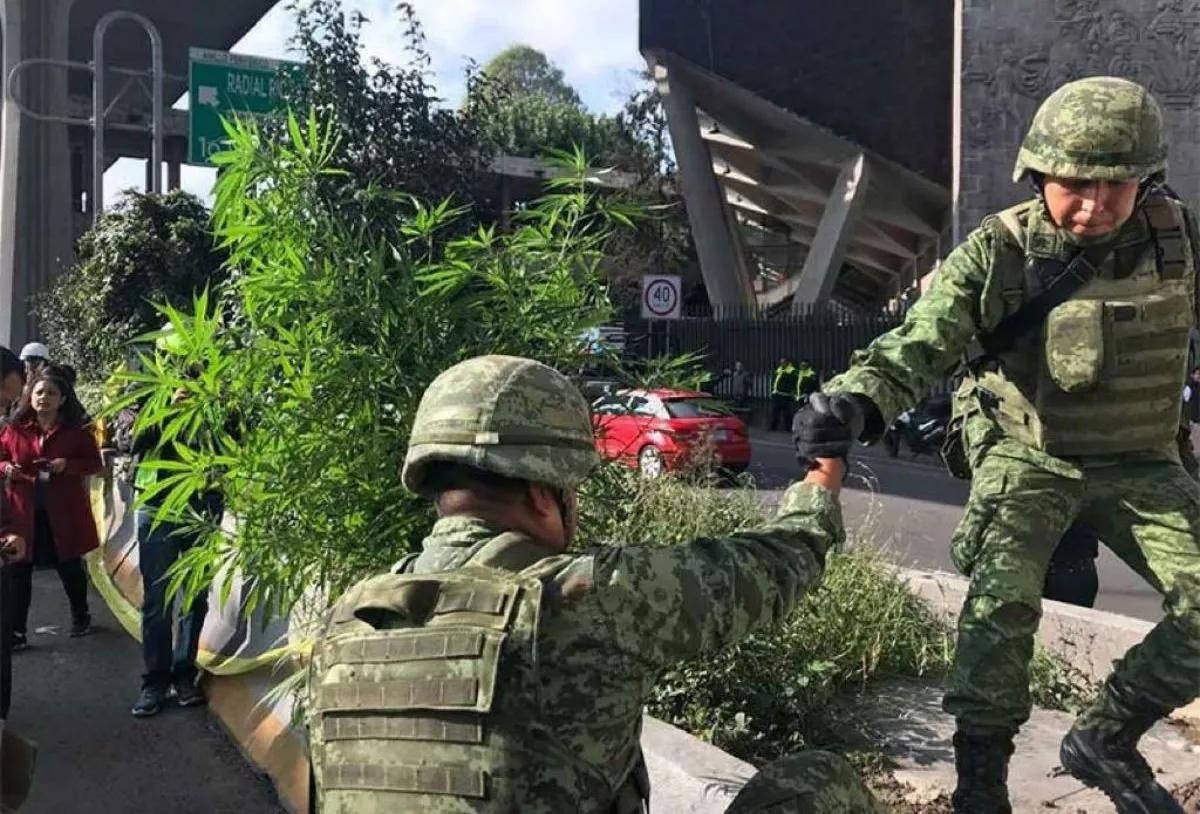Cannabis en Periférico en Naucalpan