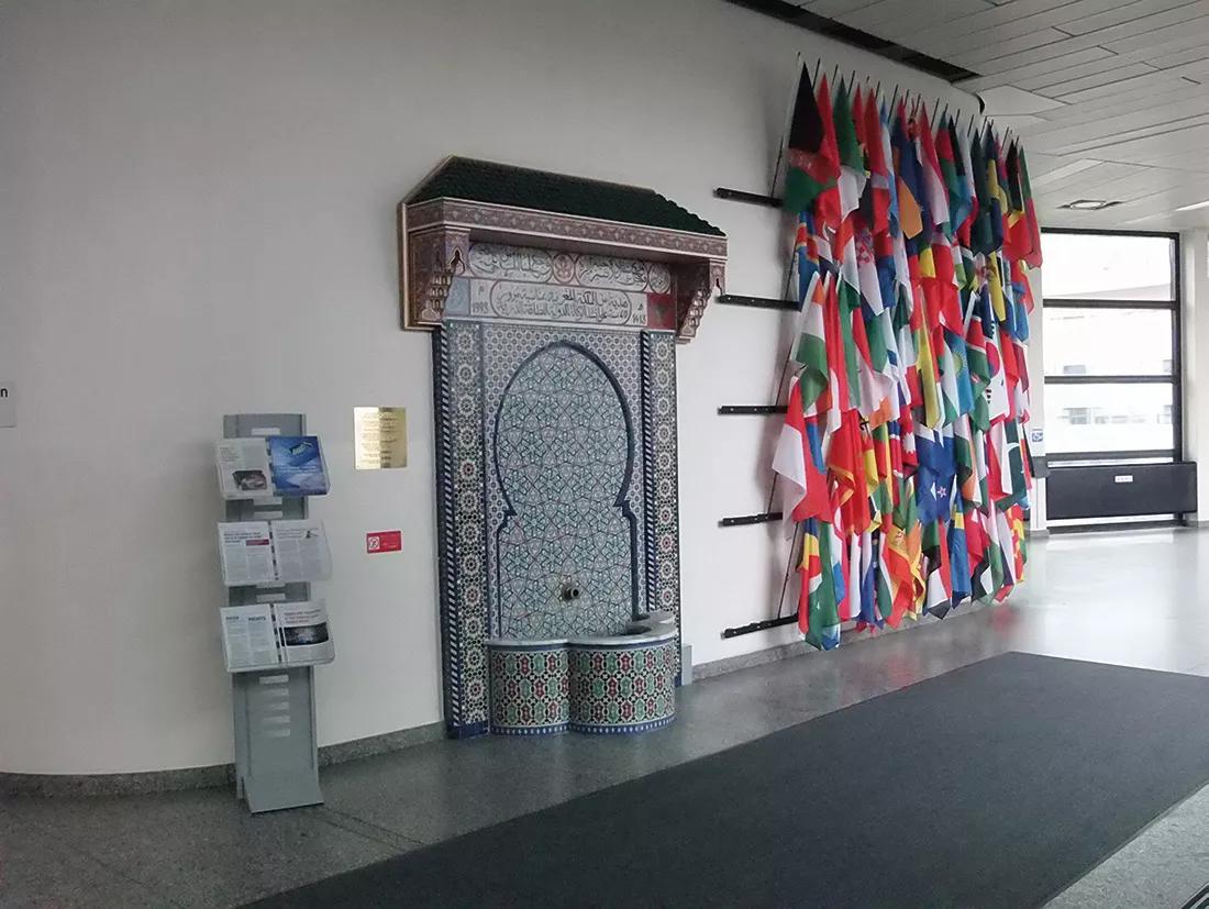 Los CSC en la sesión 60 de la Comisión de Estupefacientes en Viena