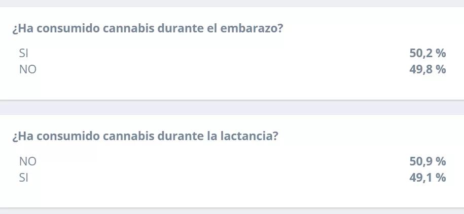 Según el primer censo cannábico en Chile el 98% apoya la legalización medicinal