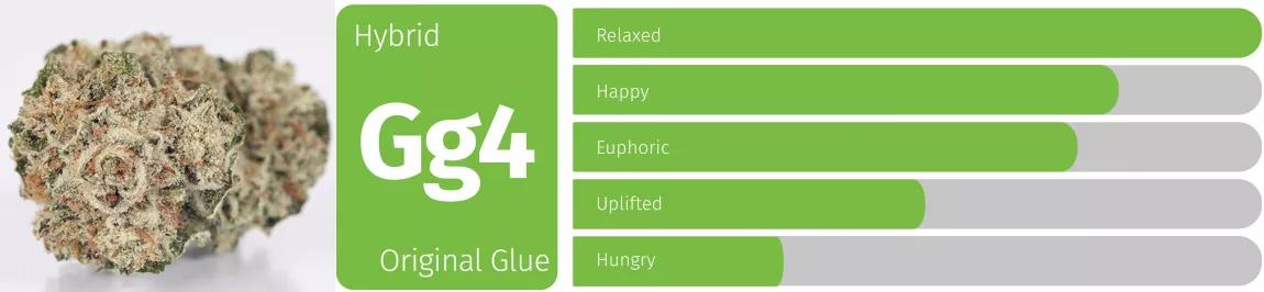 Original Glue (Gorilla Glue, GG#4)