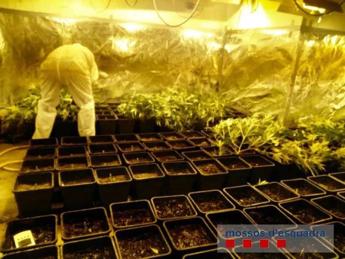 Mossos d’Escuadra, Palafrugell 