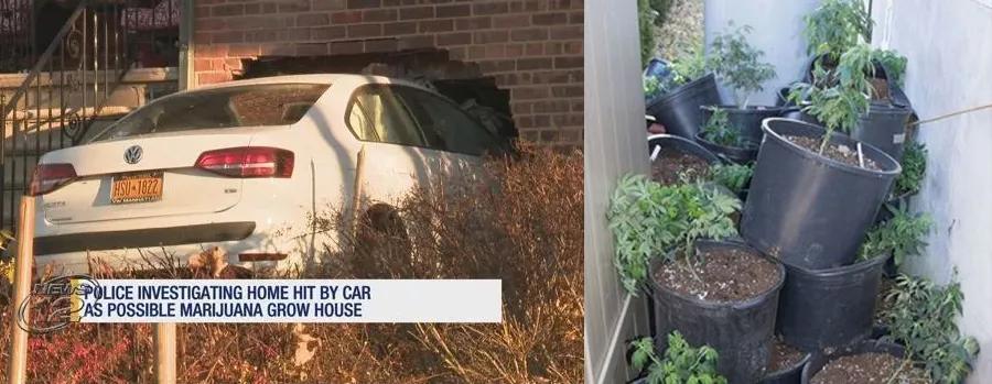 Coche se estrella contra una casa y se descubre un alijo de marihuana