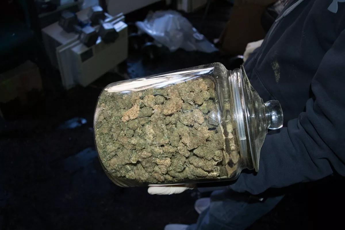 Coche se estrella contra una casa y se descubre un alijo de marihuana