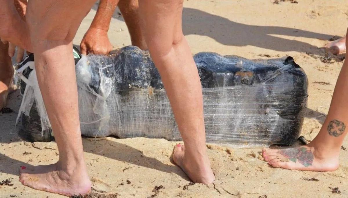 Pesca de marihuana en las playas de Florida