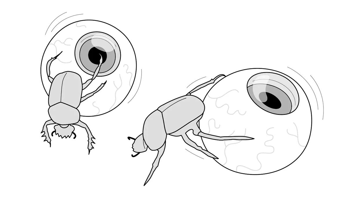 Mierdecitas de Héctor Bometón