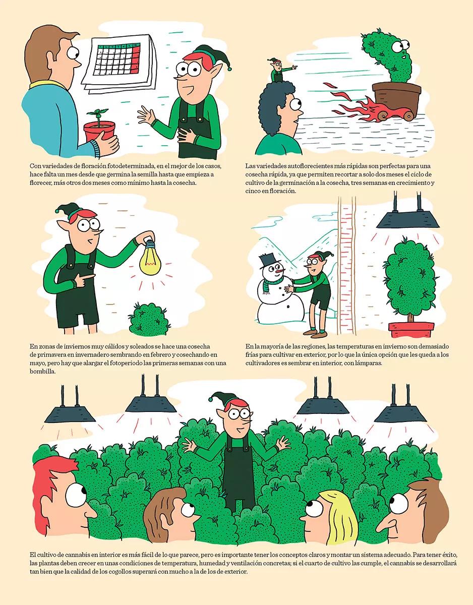 Reflexiones invernales