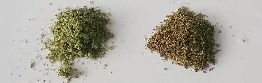 ¿Qué es la marihuana “duff”  y qué hacer con ella?