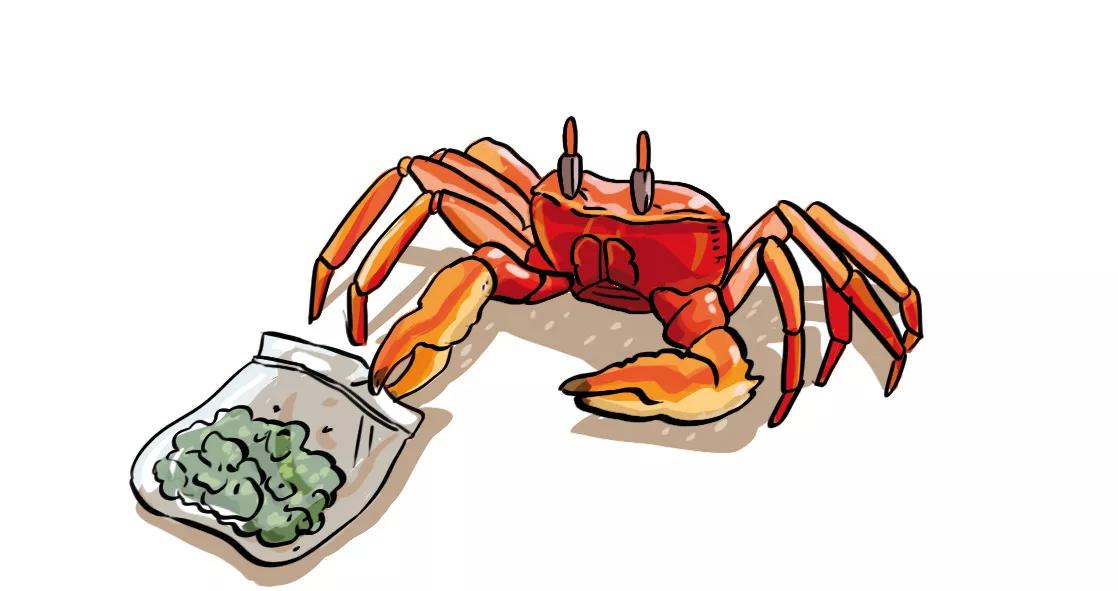 Cangrejo fumeta