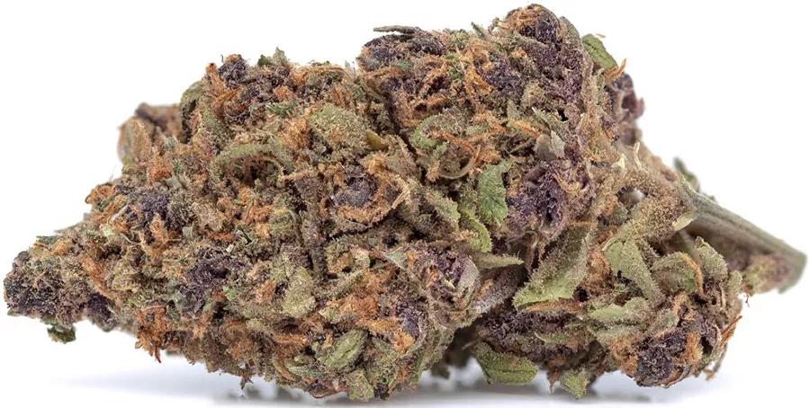 Forbidden Fruit de Million Elephants