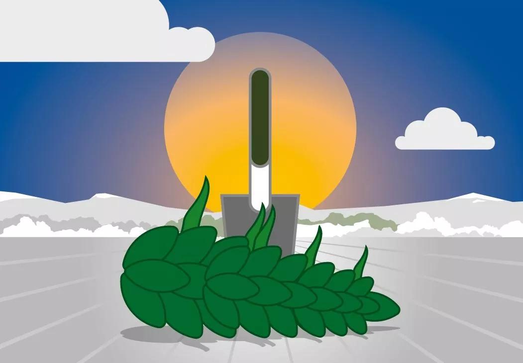 Preparando el exterior