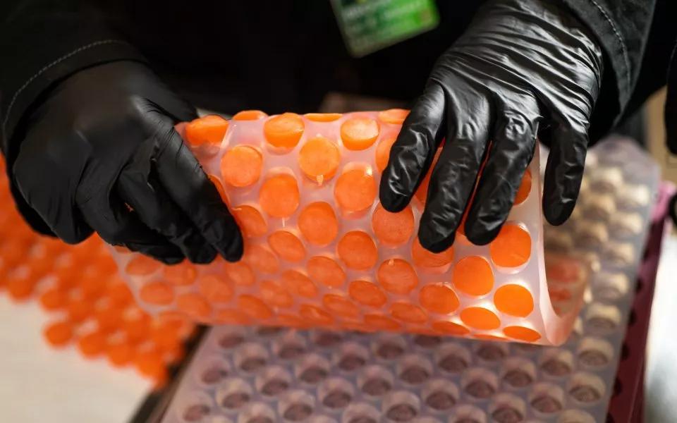 Cómo se fabrican las gominolas con cannabis en imágenes Foto: Daniel Brenner para Leafly