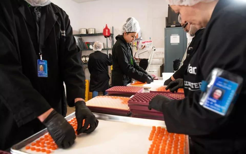 Foto: Daniel Brenner para Leafly