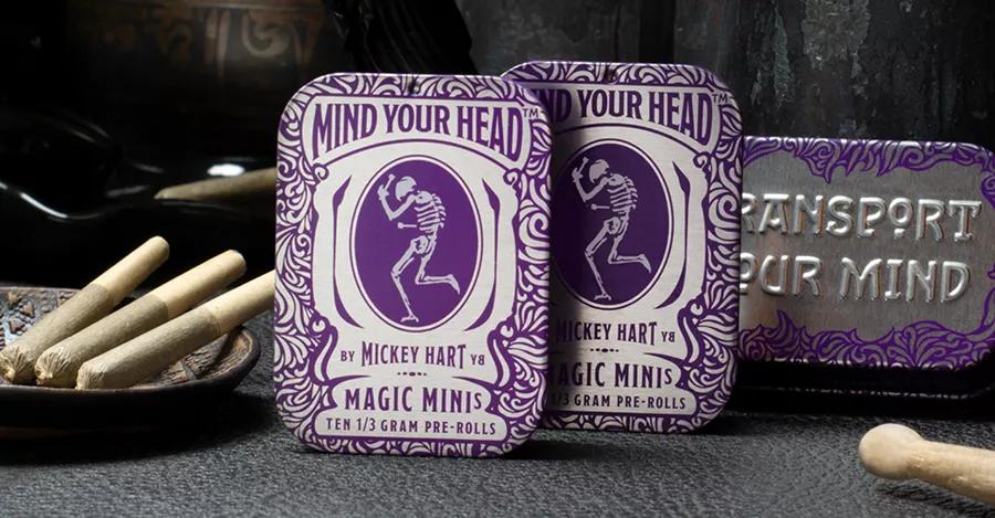 Mickey Hart Mind Your Head