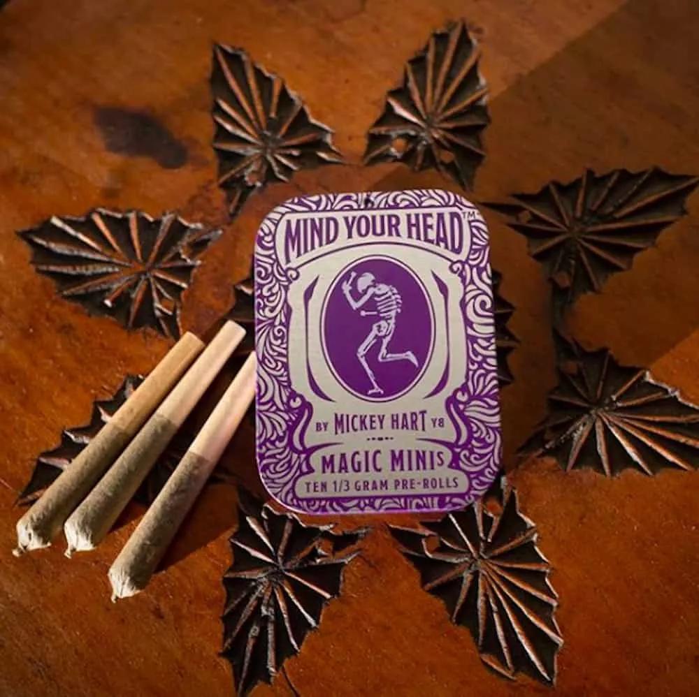 Mickey Hart Mind Your Head