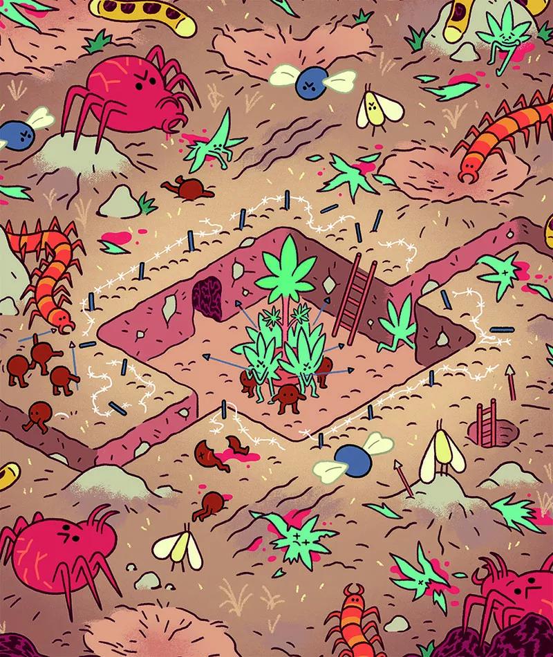 Ilustración cultivo de cannabis