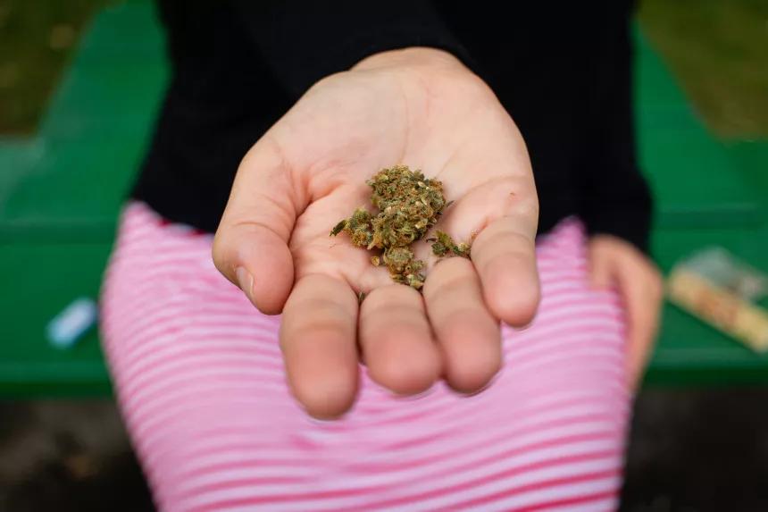 Estudio encuentra que la gente usa la recreativa como marihuana medicinal