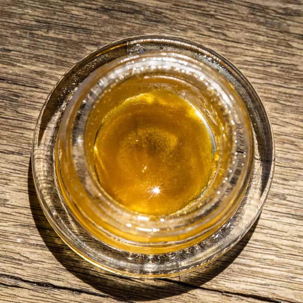 Concentrado de híbrida